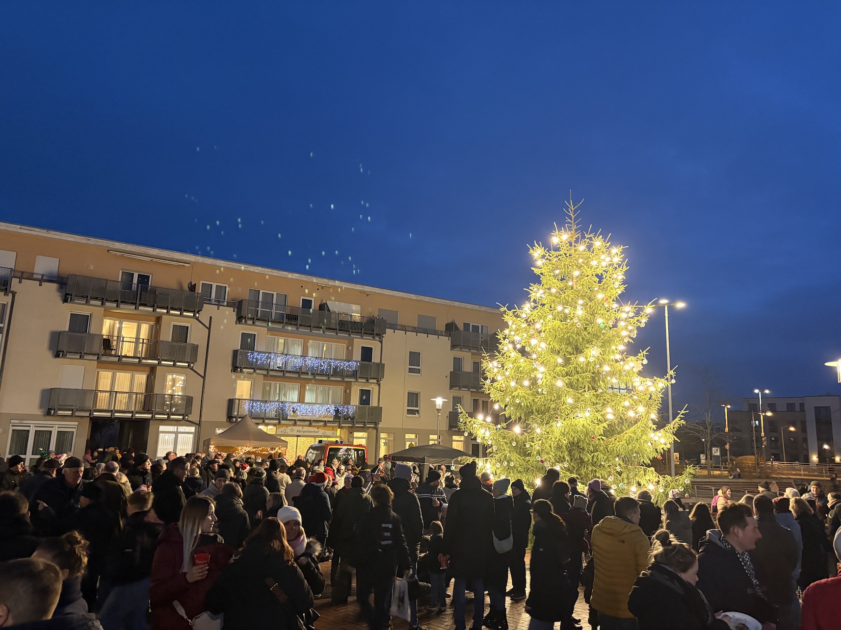 (c) 2025 - Bürger für Kaltenweide e.V. / Florian Windeck