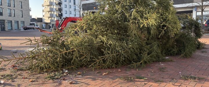 Abbau des Tannenbaums auf dem Kaltenweider Platz – Adventszauber 2025 beendet Abbau des Tannenbaums auf dem Kaltenweider Platz – Adventszauber 2025 beendet