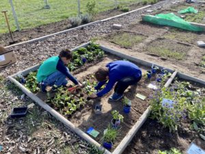 Blumen- & Gemüsegarten beigeistert auch junge Kaltenweider Blumen- & Gemüsegarten beigeistert auch junge Kaltenweider