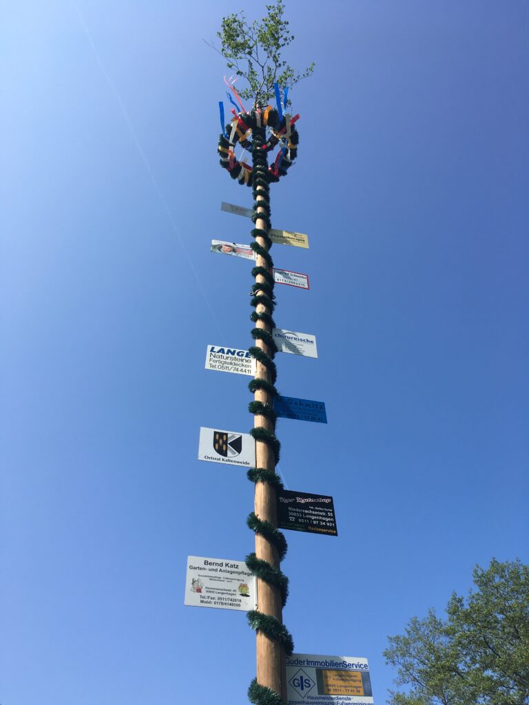 (c) 2019 - Florian Windeck | Maibaum in Kaltenweide