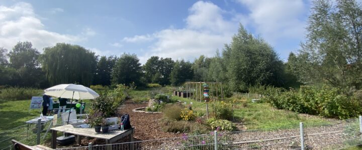 Region Hannover: Tageszeitliches Bewässerungsverbot ab 1. Juni Blumen- & Gemüsegarten des BfK e.V