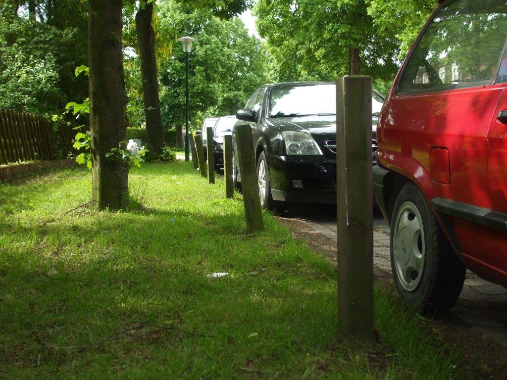 „Schildkröten“ im Mühlenweg