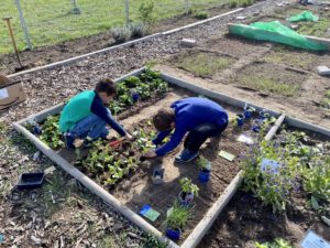 Blumen- & Gemüsegarten beigeistert auch junge Kaltenweider
