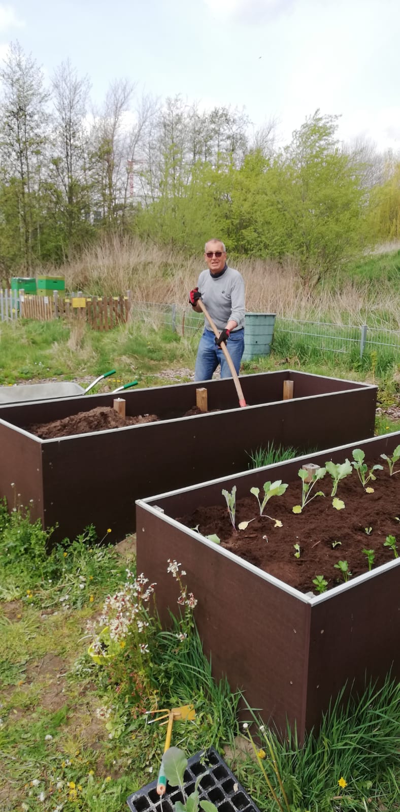 Errichtung von Hochbeeten im Blumen- & Gemüsegarten