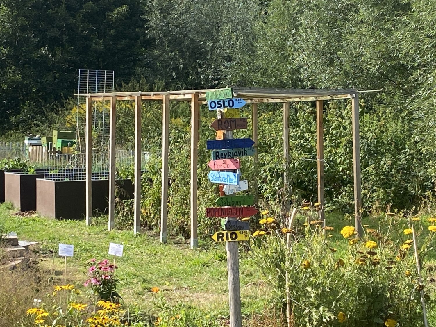 Blumen- & Gemüsegarten