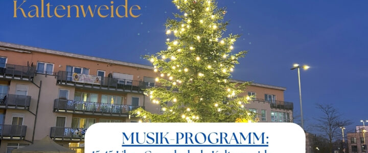 (c) 2025 - Bürger für Kaltenweide e.V. (BfK)