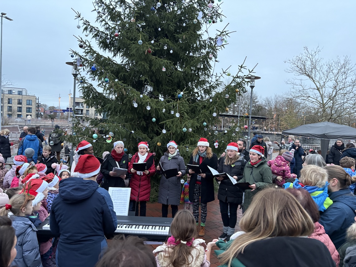 (c) 2025 - Bürger für Kaltenweide e.V. / Florian Windeck